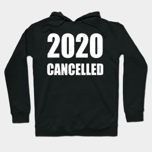 2020 Cancelled Whole Year Funny Hoodie